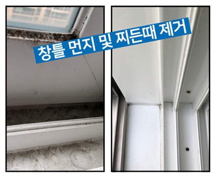 스파클리빙 청보 전후 비교 사진