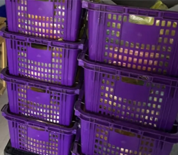 스파클리빙 리뷰